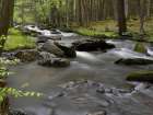 Mountain stream, Central Pennsylvania, USA Art Print